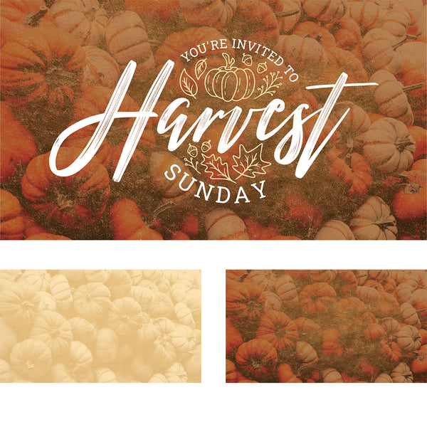 Harvest Sunday - Screen Set