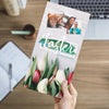 Easter Tulips and Paint - Large EDDM Mailer