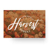 Harvest Sunday - Standard Invitation Card