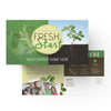 Experience a Fresh Start - Large EDDM Mailer