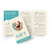 The Gift of Grace - Trifold Tract
