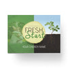 Experience a Fresh Start - Small EDDM Mailer
