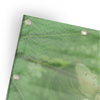 Experience a Fresh Start - Horizontal Banner