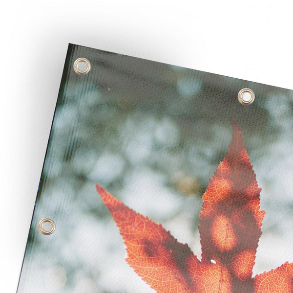 You're Invited This Fall - Horizontal Banner
