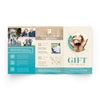 The Gift of Grace - Trifold Tract