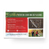 You're Invited This Christmas - Standard Invitation Card