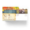 Fall Harvest Day - Large EDDM Mailer