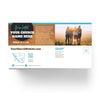Food Truck Sunday - Large EDDM Mailer