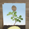 Experience a Fresh Start - Door Hanger