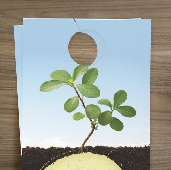 Experience a Fresh Start - Door Hanger