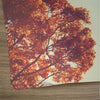 You're Invited Fall - Large EDDM Mailer