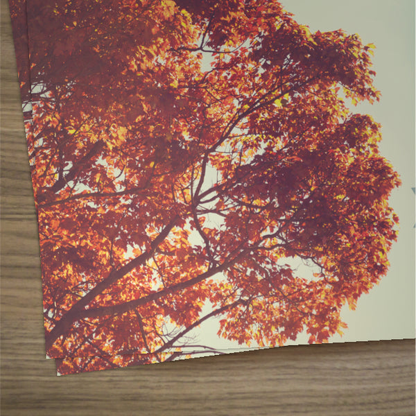 You're Invited Fall - Large EDDM Mailer