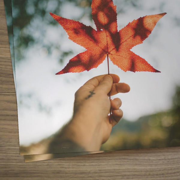 You're Invited This Fall - Large EDDM Mailer