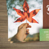 You're Invited This Fall - Standard Invitation Card