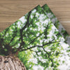 Grow With Us Tree - Trifold Tract