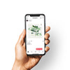 Grow With Us - Social Media Graphic