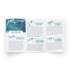 Come and See This Sunday - Trifold Tract